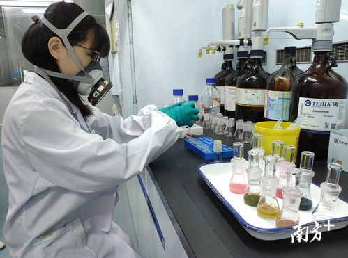 發(fā)揮技術(shù)優(yōu)勢，把好發(fā)展關(guān) 技術(shù)服務(wù)助力清遠(yuǎn)經(jīng)濟(jì)騰飛